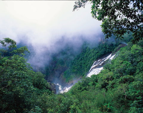 Tully Falls And Tully Gorge - Southport Accommodation 0