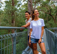 Valley of the Giants Tree Top Walk - Southport Accommodation