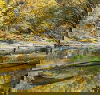 Warrabah National Park - Southport Accommodation