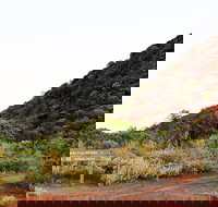 Whyalla Conservation Park - Accommodation Southport