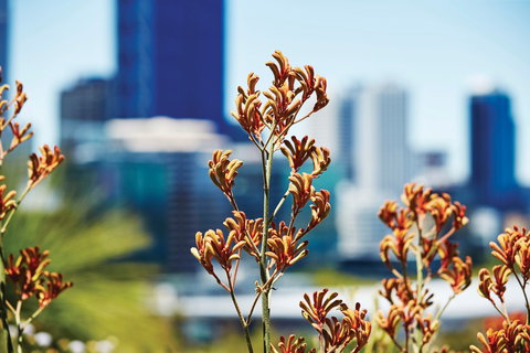 A Day In Perth - Southport Accommodation 1