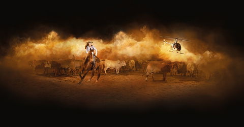 Australian Outback Spectacular's Heartland - Southport Accommodation 2
