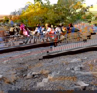 Australian Age of Dinosaurs - Accommodation Southport