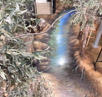 Barmah Forest Heritage and Education Centre - Nathalia - Southport Accommodation