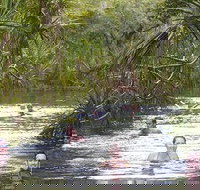 Berry Springs - Accommodation Southport