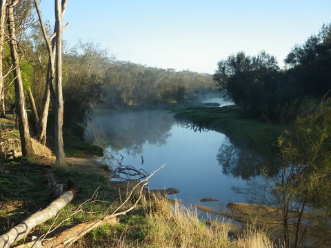 Bilya Walk Track - Accommodation Southport 0