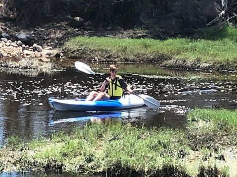 Bilya Walk Track - Accommodation Southport 1