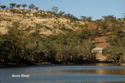 Bilya Walk Track - Accommodation Southport 2