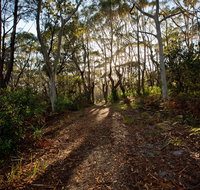 Booderee National Park Munyunga Waraga Dhugan Walking Trail - Southport Accommodation