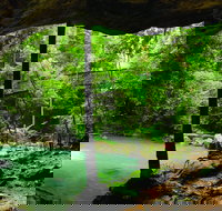 Buderim - Accommodation Southport