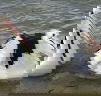 Chinaman Wells - Accommodation Southport