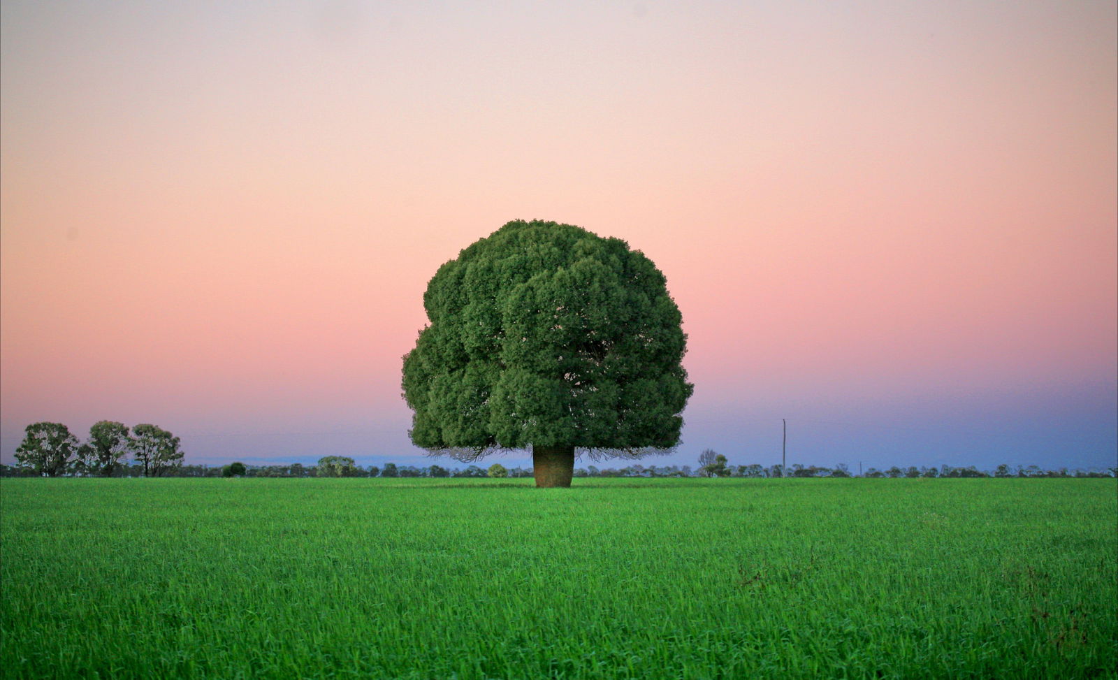 Yulabilla QLD Southport Accommodation