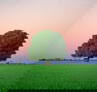 Condamine - Southport Accommodation