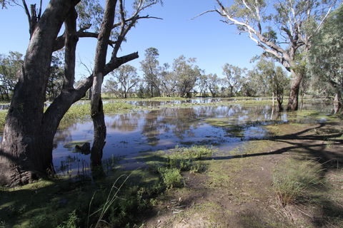 Condamine - Southport Accommodation 1