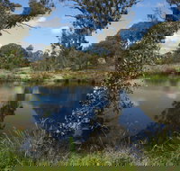 Cooleman Ridge - Southport Accommodation