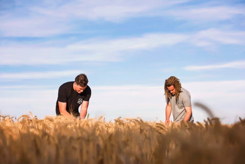 Corowa Distilling Co - Accommodation Southport 1