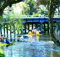 Denmark River - Southport Accommodation