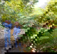 Endeavour Fern Gully Walks - Southport Accommodation