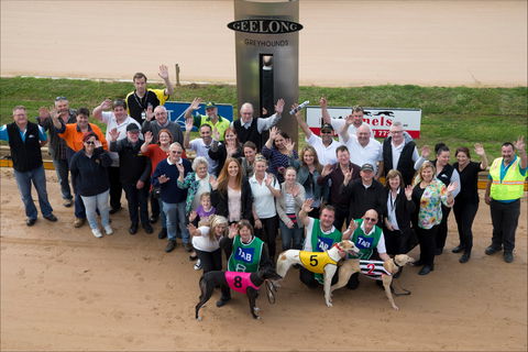 Geelong Greyhound Racing Club - The Beckley Centre - Southport Accommodation 0