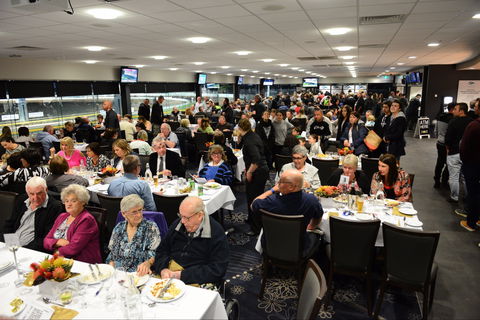 Geelong Greyhound Racing Club - The Beckley Centre - Southport Accommodation 1