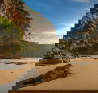 Greenglade picnic area - Southport Accommodation