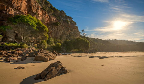 Greenglade Picnic Area - Southport Accommodation 0