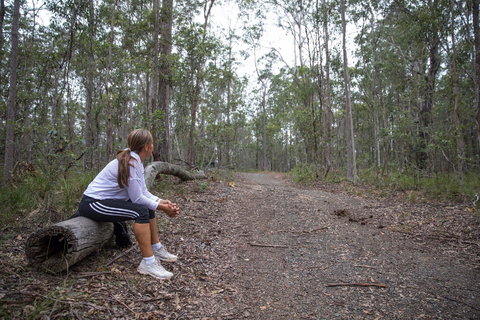Ironbark Ridge And Spotted Gum Walking Trails - Accommodation Southport 1