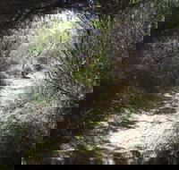 Jack And Hilda McArthur Walk - Accommodation Southport