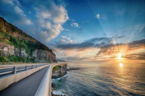 Kramer Photography Rainforest Gallery - Southport Accommodation 0