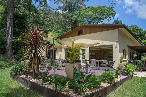 Kramer Photography Rainforest Gallery - Southport Accommodation 2