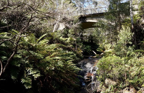 Leura Cascades - Accommodation Southport 2