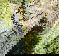 Morans Falls track Lamington National Park - Accommodation Southport