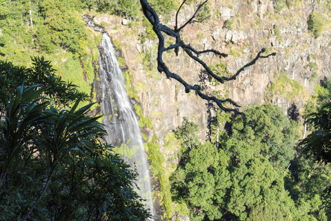 Morans Falls Track, Lamington National Park - Accommodation Southport 0