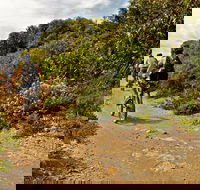 Mountain Biking Trails - Southport Accommodation