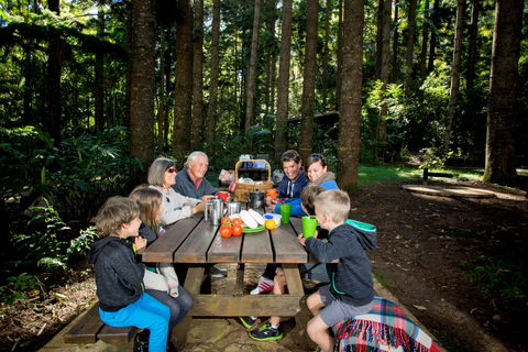 Mount Yarrahapinni Lookout - Southport Accommodation 1