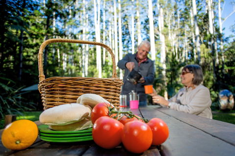 Mount Yarrahapinni Lookout - Southport Accommodation 2