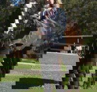 Otford Farm Horse Riding - Accommodation Southport