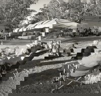 Pioneer Park - Southport Accommodation