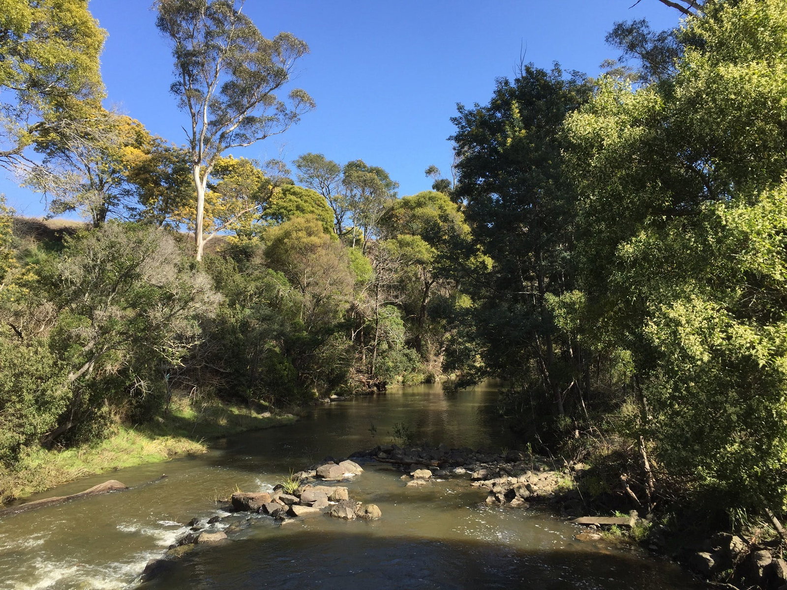 Pipers River TAS Southport Accommodation