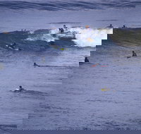 Point Addis Marine National Park - Accommodation Southport