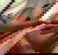 Prani Glow Day Spa - Accommodation Southport