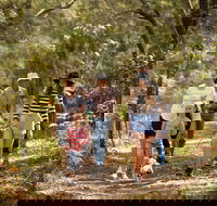 Russell Island Canaipa - Accommodation Southport