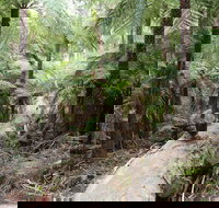 Upper Yarra Reservoir Park - Accommodation Southport