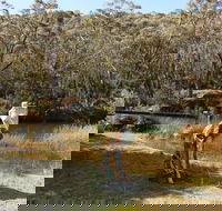 Wild Valley Art Park - Southport Accommodation