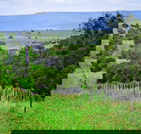 Wild Dog Barrier Fence - Southport Accommodation
