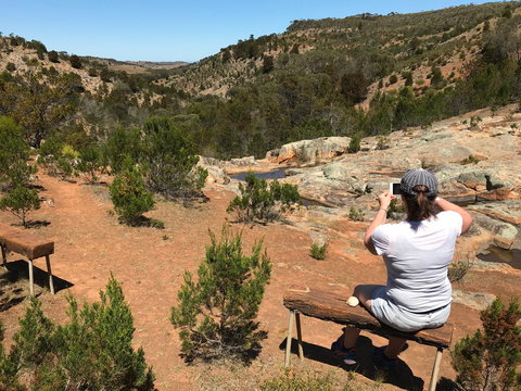 Yeldulknie Conservation Park Hiking Trail - Southport Accommodation 0