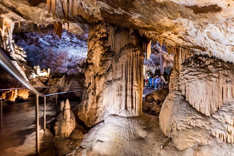 Jenolan Caves: Lucas Cave Tour - Accommodation Southport 2