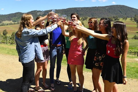 Hunter Valley Wine Tour Ex Newcastle Incl Lunch, Cheese, Chocolate & Distillery - Southport Accommodation 10
