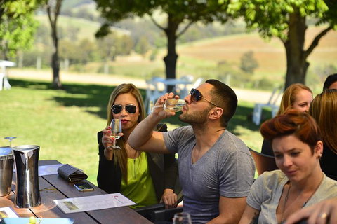 Hunter Valley Wine Tour Ex Newcastle Incl Lunch, Cheese, Chocolate & Distillery - Southport Accommodation 0