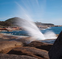 Bicheno Blowhole - Southport Accommodation